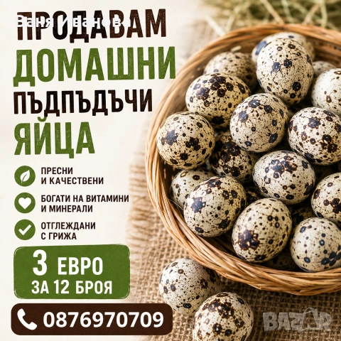Продавам домашни пъдпъдъчи яйца 