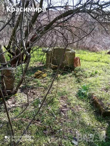 Парцел със стара къща с. Оряхово, община Любимец, снимка 2 - Парцели - 55350550