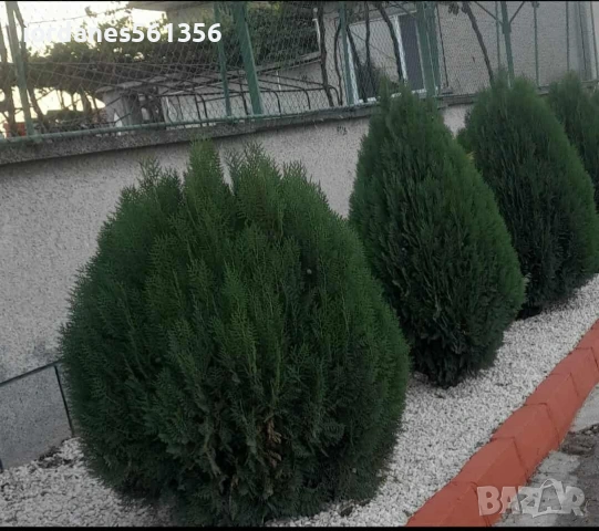 Чист Пясък за замазки бетон Бял чакъл за декорации филц и др, снимка 8 - Други ремонти - 45742830