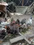 Катунски пилета., снимка 2