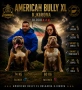 ТОП !!! Американско Були Хл American BULLY Xl ABKC, снимка 1
