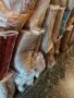 противохлъзгащи постелки за ъглови дивани и холни гарнитури, снимка 9