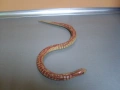 Стара дървена играчка- змия., снимка 6