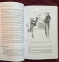 Теория и история на отношенията САЩ-Латинска Америка / Understanding U.S.-Latin American Relations, снимка 6