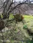 Парцел със стара къща с. Оряхово, община Любимец, снимка 2
