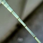 сльнчеви очила KATA titanium, снимка 4