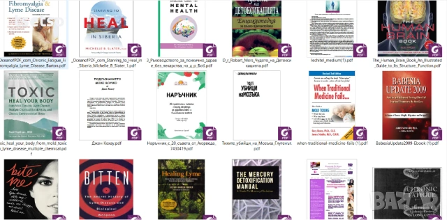 Лечителят Медиум, Детоксикацията,Тихите убийци на мозъка,Мухъл и др.