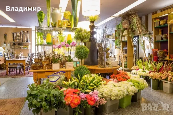Продавач в цветарски магазин