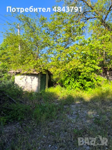 Къща за ремонт в село Ягнило община Ветрино, снимка 18 - Къщи - 54736022