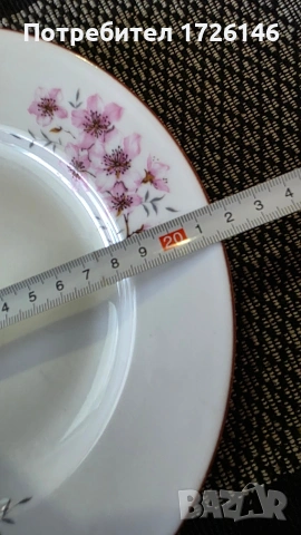 Порцеланова чиния дълбока с червен кант на Китка модел ябълков цвят , снимка 5 - Чинии - 54054791