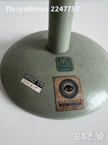 Ретро анатомичен модел на зъб – Deutsches Hygiene-Museum Dresden (Музей Дрезден), снимка 3 - Други стоки за дома - 55393402