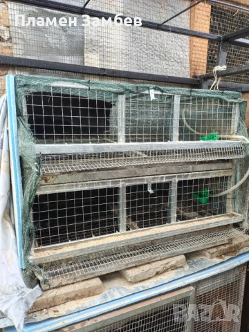 Продавам клетка за пъдпъдъци, снимка 2 - За птици - 54158497