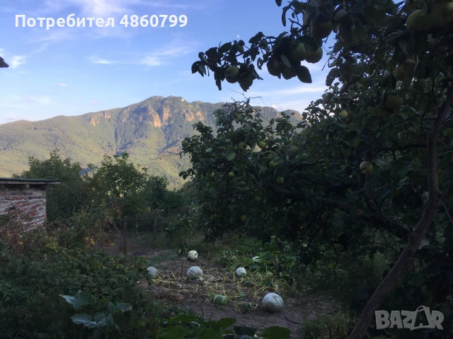 Продавам къща в с. Орешец, снимка 2 - Къщи - 55127321