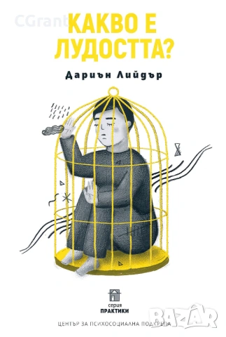 Какво е лудостта? | Дариън Лийдър , снимка 3 - Други - 54430680