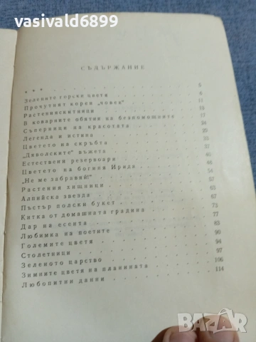 Ангел Железаров - Красота и куриози в растителния свят , снимка 7 - Специализирана литература - 55267446