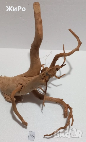 Корен от Азалия /декорация/ 36, снимка 5 - Други - 48966493