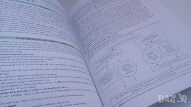 Микробиология - Manual for practical exercises in medical microbiology Part II - Гергова, 3-то изд., снимка 10 - Учебници, учебни тетрадки - 54084480