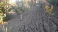 Продавам къща в гр. Лом кв. Младеново, снимка 11