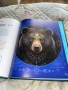 книгата „Тотемные животные“ (Сабин Боккадор), снимка 2