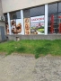 Напълно оборудвана закусвалня/баничарница под наем в гр.Хисаря- 117 кв.м., снимка 5