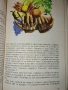 Да си поговорим девойчета от Изд. Медицина и физкултура , снимка 5