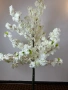 Декоративно дърво вишна бяло, снимка 2