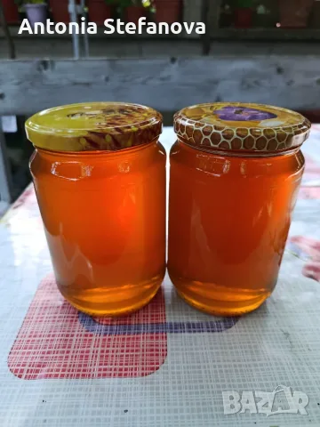 Пчелен мед Букет от Пчелин Христов номер-8679-0406, снимка 4 - Пчелни продукти - 55333768