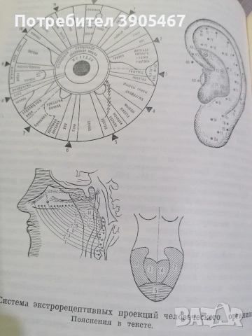 Ирисова диагностика НОВА на руски, снимка 6 - Специализирана литература - 54223125