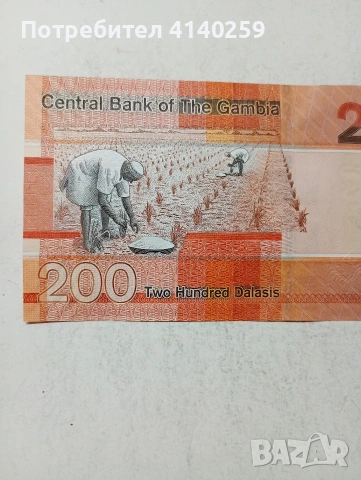 ГАМБИЯ БАНКНОТА 200 ДАЛАСИ , снимка 5 - Нумизматика и бонистика - 55154342