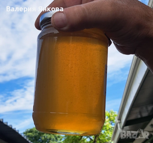 Акациев мед реколта 2026 г., снимка 2 - Пчелни продукти - 54782860