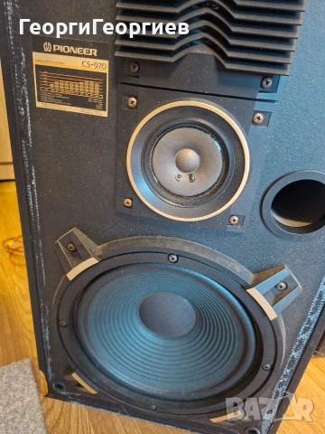 Pioneer CS-970 озвучителни тела. , снимка 3 - Тонколони - 55153587