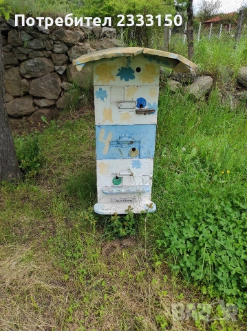 Продава две пчелни семейства ,силно развити от есента с млада майка ,пчелите са третирани . . , снимка 3 - За пчели - 54386105
