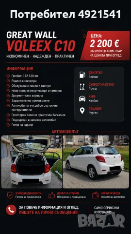 Great WALL VOLLEX C10