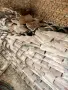 стари турски керемиди, снимка 1