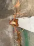 Продавам трофей от Елен лопатар, снимка 4