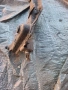 Преден мост бмв е46 320i bmw, снимка 2