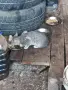 Подарявам котета , снимка 5