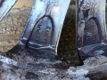 Лети джанти 16" 5/112 с гуми 205 55 16, снимка 10