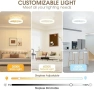 NIORSUN таванен вентилатор с LED и дистанционно, снимка 2