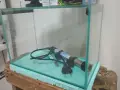 10л Аквариум с принадлежности, снимка 7