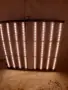 PHLIZON 1000W  led grow light, снимка 10
