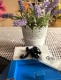 Телефон Alcatel one touch pixi 3, снимка 5