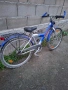 Колело Велосипед Pegasus 24 цола, снимка 1