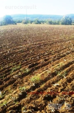 парцел 1200 кв.м град Севлиево в близост до Републикански  -София/Варна, снимка 4 - Парцели - 54574176