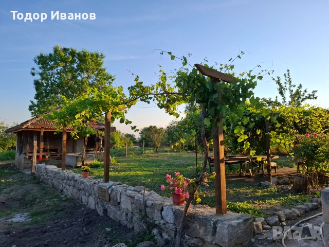 Имот с.Кривня , снимка 4 - Къщи - 55040399