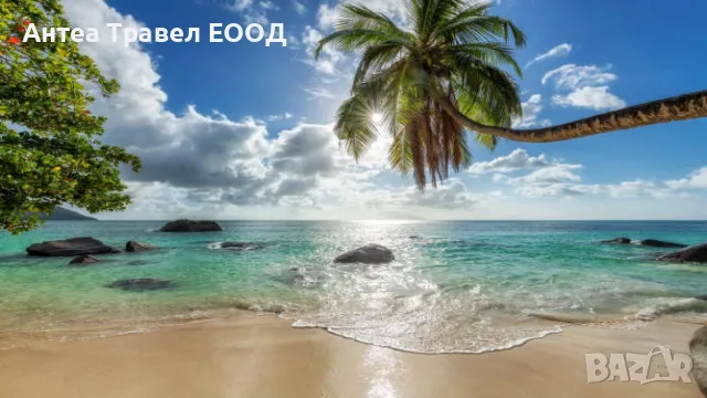 Магията на Филипините - Тропическа Коледа и Незабравима Нова година 2027