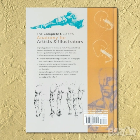 Човешкото тяло Учебник по пластична анатомия Годфрид Бамес Gottfried Bammes download pdf, снимка 8 - Енциклопедии, справочници - 28089549