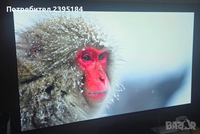 LG G4 77 Oled TV, снимка 5 - Телевизори - 54665848