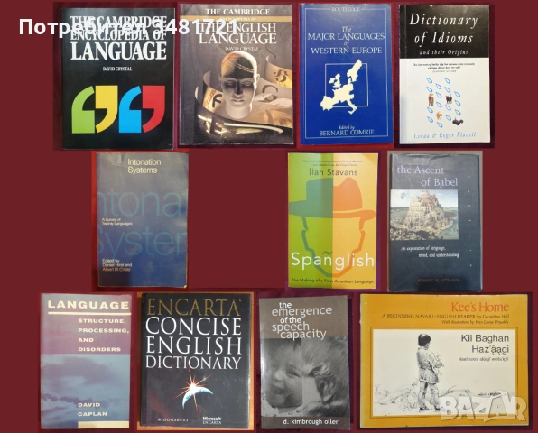 Езикознание, речници, диалекти, езикови тенденции - 11 книги