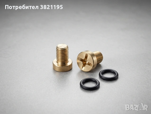 Винт на Клапан за Обезвъздушаване на BMW